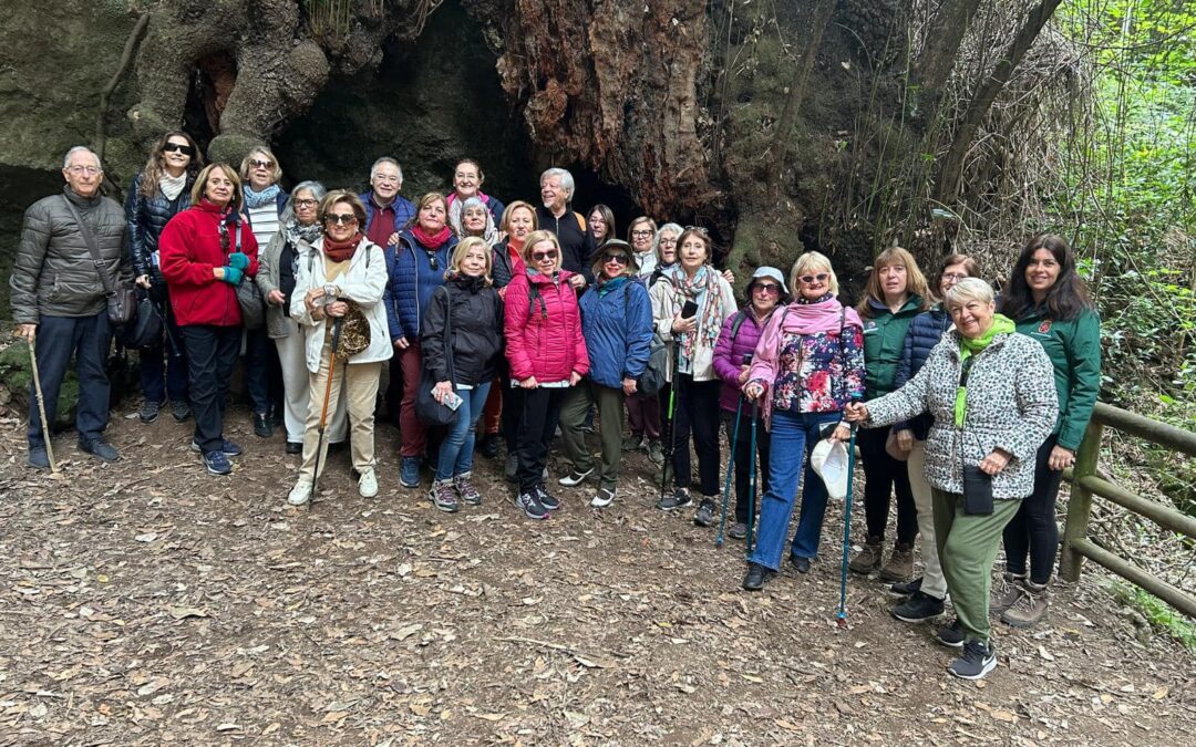 CXVII (117) Itinerario Cultural TuSantaCruz: Tacoronte y los Guardianes Centenarios de Agua García.